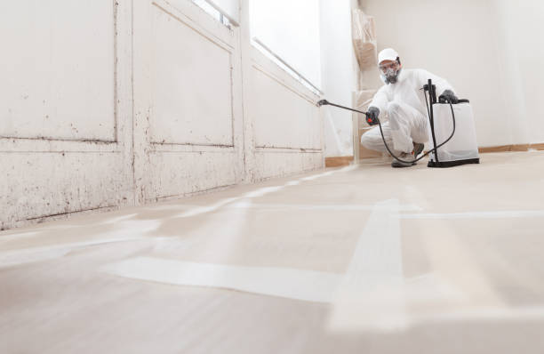 24/7 Emergency Mold Cleanup experts in Front Royal, VA